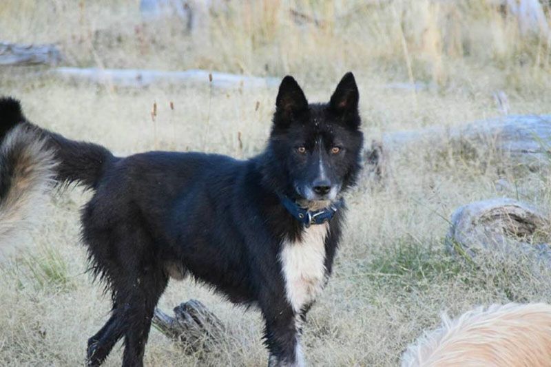 Autoridades municipales y provinciales recorrerán el Valle de Lobos