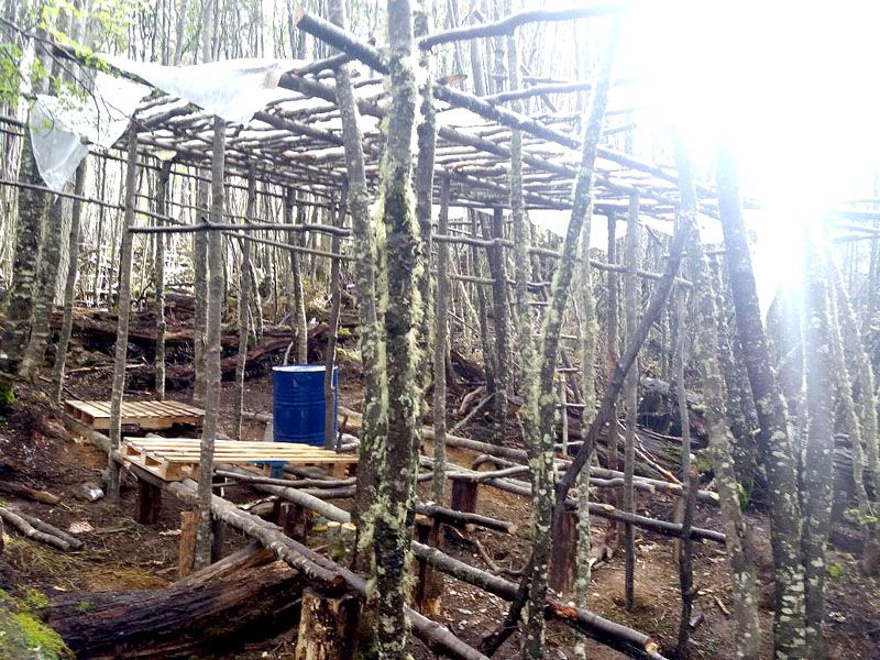 Detectaron nuevas construcciones en la Ruta “J”