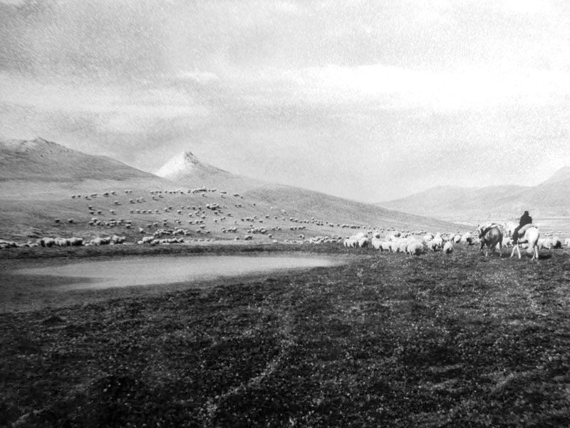 Cuestionan la magnitud de las tierras concedidas a Braun