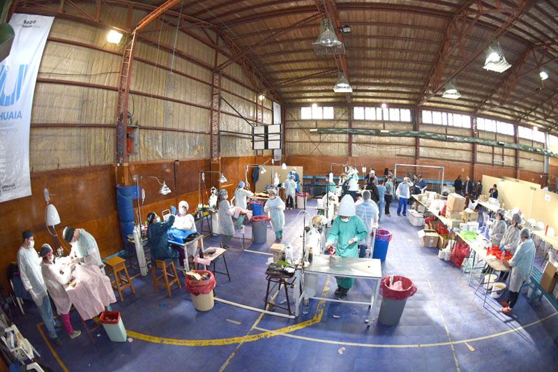 Habrá una doble jornada de castración de mascotas