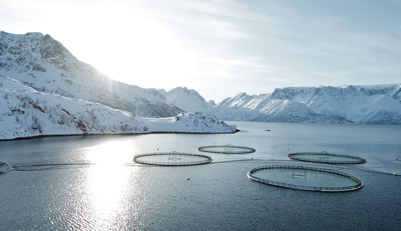 Acuerdo para estudios de factibilidad con aval mayoritaria de la Legislatura 