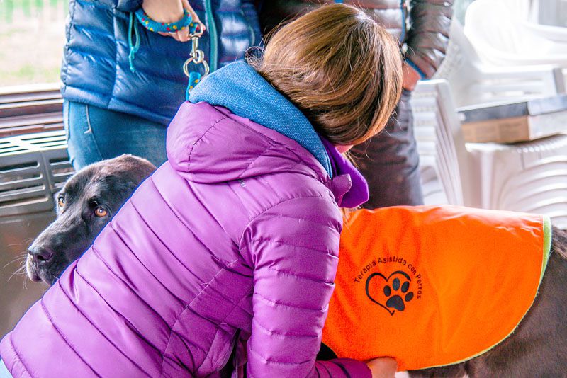 El Taller de Terapia Asistida con Perros cerrará el semestre con actividades