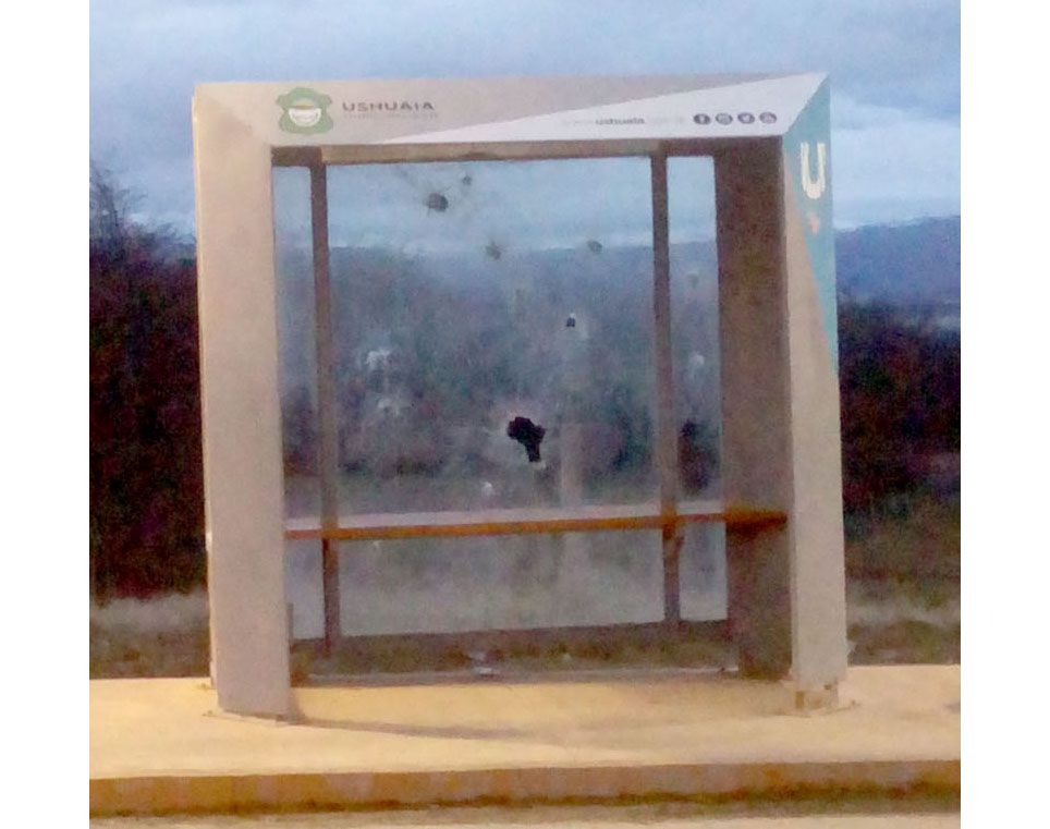 Son unos vivos bárbaros…