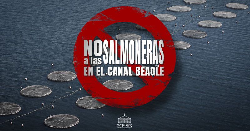 No queremos salmoneras en Canal Beagle, Tierra del Fuego, Argentina