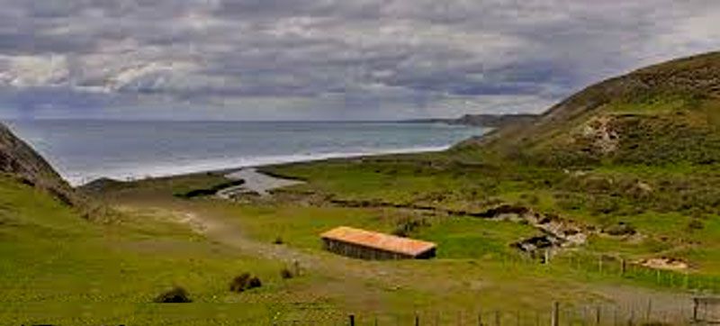 Autorizan sucesivas ventas especulativas de tierras vírgenes