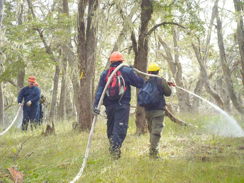 Pérez Toscani: La conservación del bosque nativo es una prioridad para el Gobierno