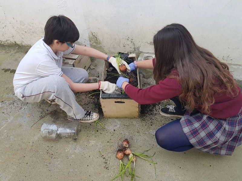 Una alternativa para la soberanía alimentaria