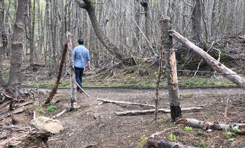 Bertotto denunció nuevas usurpaciones en la Justicia