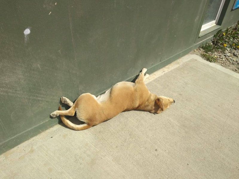 Cuando está lindo el día en Ushuaia hay que aprovechar