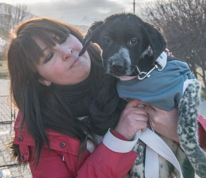 Recomiendan planificar qué hacer con las mascotas en las vacaciones 