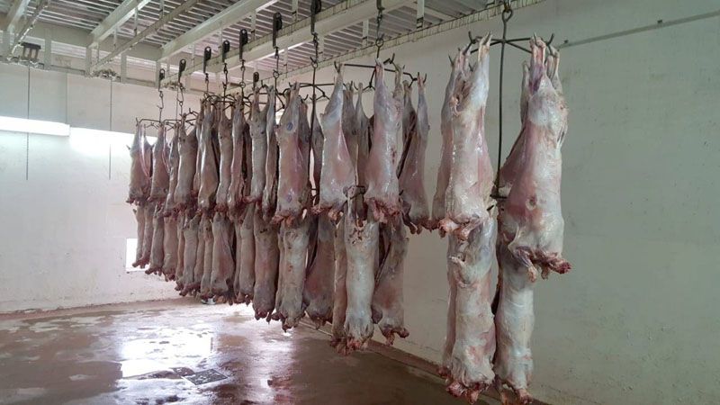 Comenzó la temporada de faena en el matadero municipal