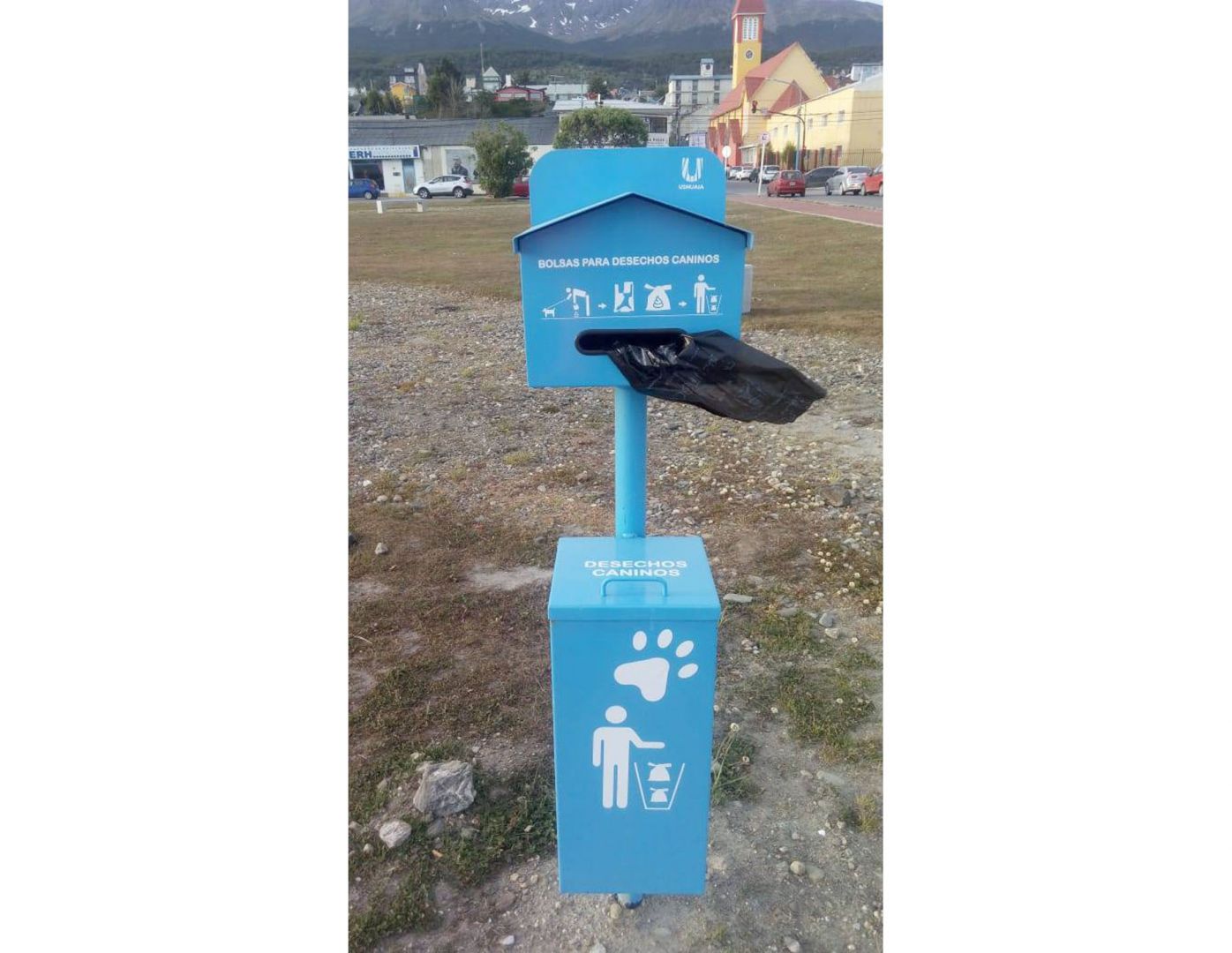 ¿Y si el pichicho no sabe leer?