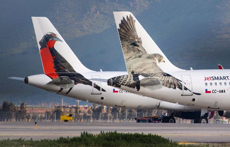 Autorizaron a línea aérea low cost a volar a Ushuaia