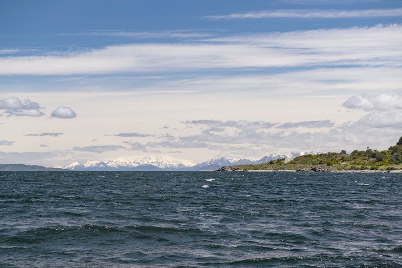 Greenpeace cuestiona la instalación de criaderos en el Beagle