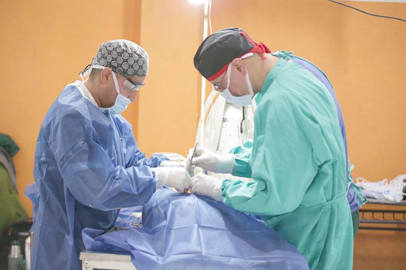 Nueva castración intensiva de perros