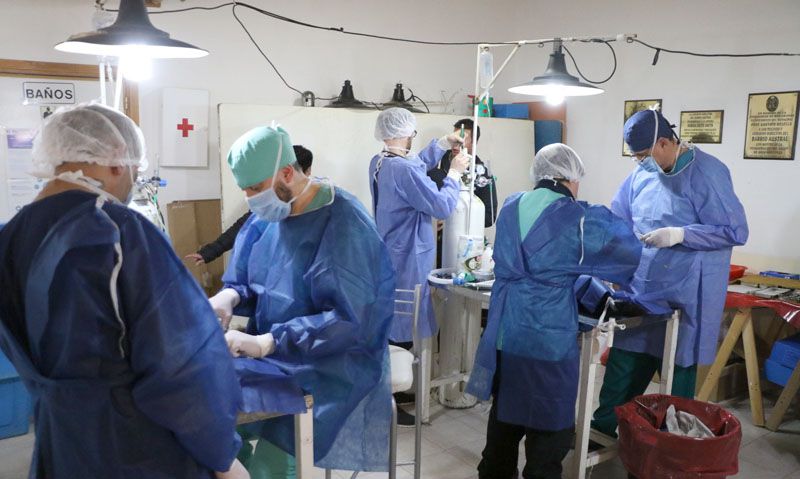 Se esterilizaron 200 perros en la Margen Sur