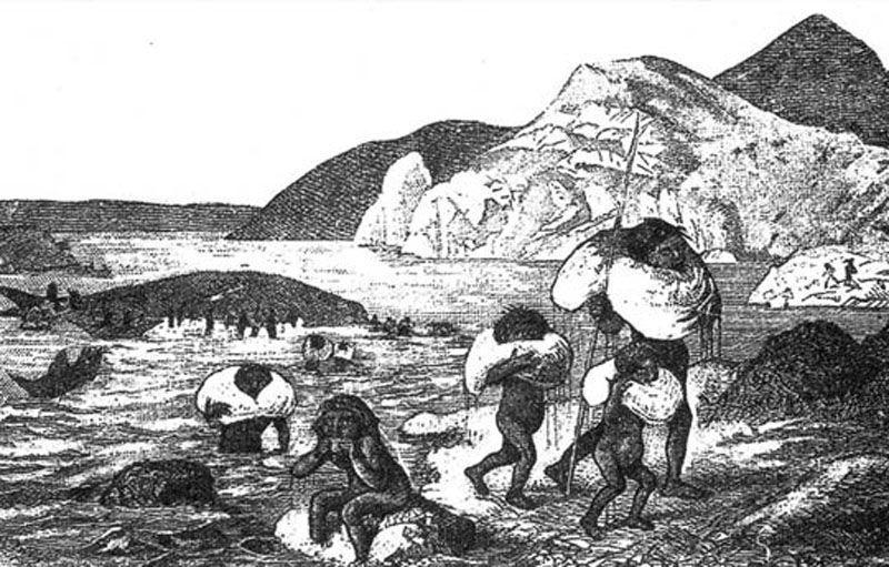 Investigan cómo prevalecía la cooperación sobre la competencia entre los Yámanas