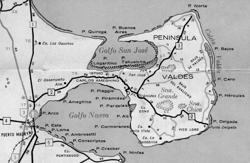 Se dispone el remate de tierras de la península de Valdés
