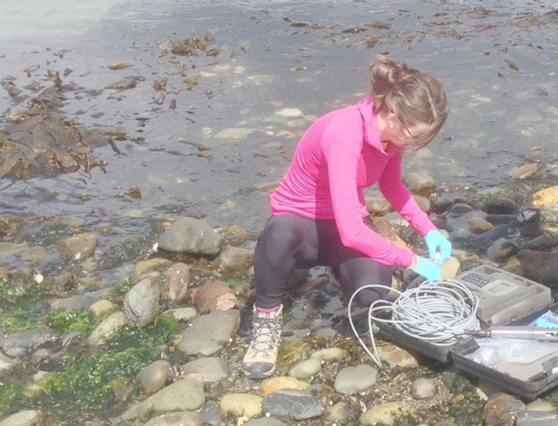 El calentamiento global podría afectar a la merluza negra en el Canal Beagle