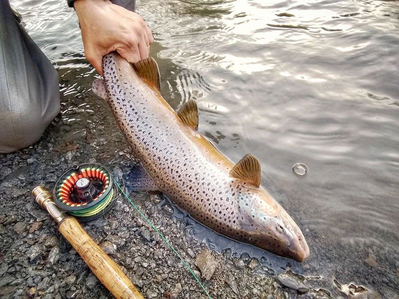 Arranca mañana una nueva temporada de pesca deportiva