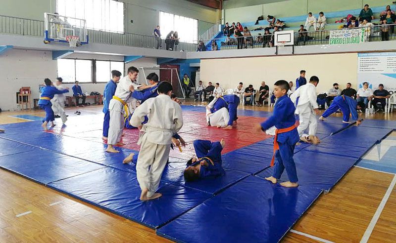 La versión XVII, un buen acierto