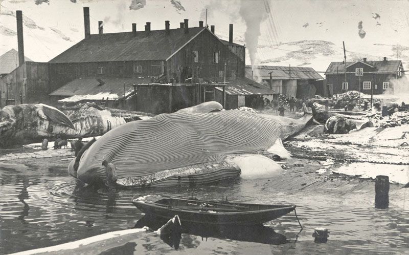 Comienza una huelga que erige un poder obrero en Georgias