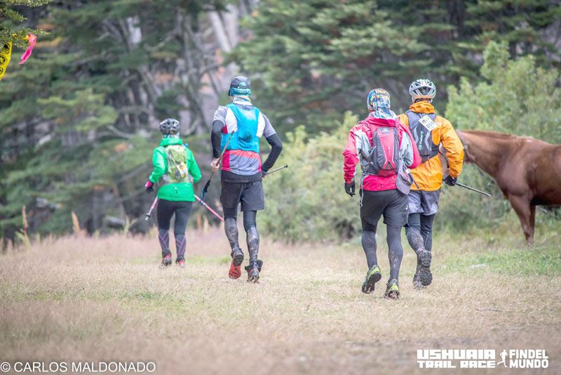 Se viene la 4ª versión