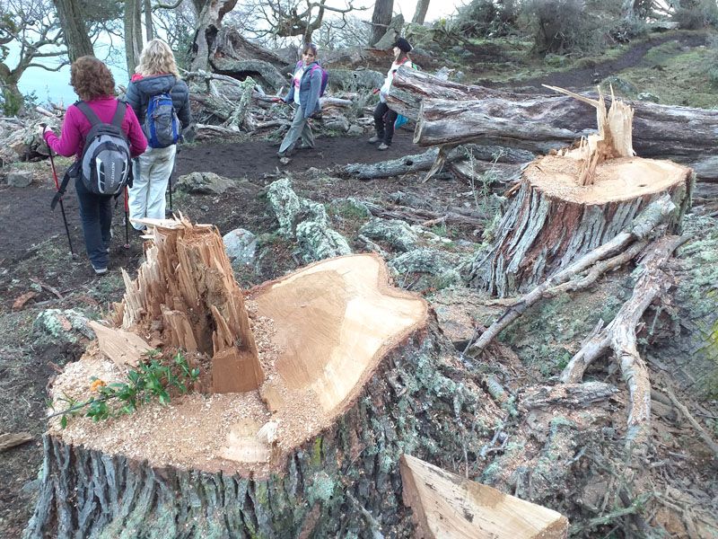 Desestimaron que la Comunidad Yagan sea querellante