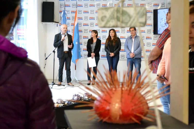 Se inauguró la muestra ‘Historias con Erizos’ en el Centro Nueva Argentina