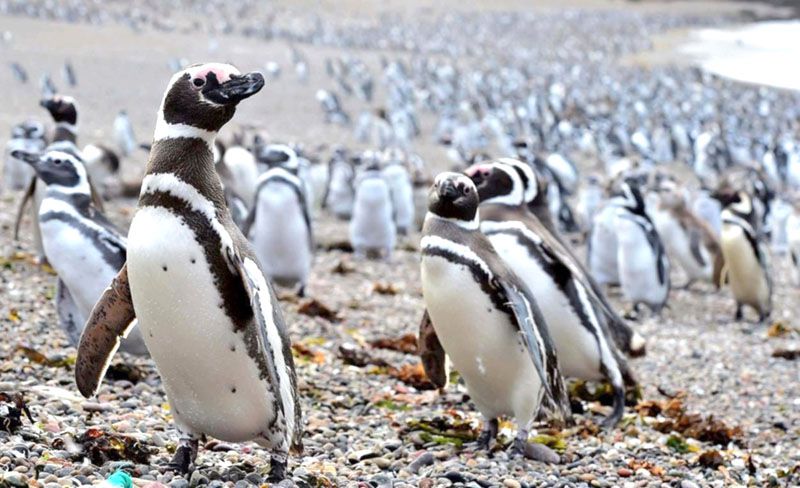 Evalúan gestión de 43 áreas protegidas de la costa atlántica