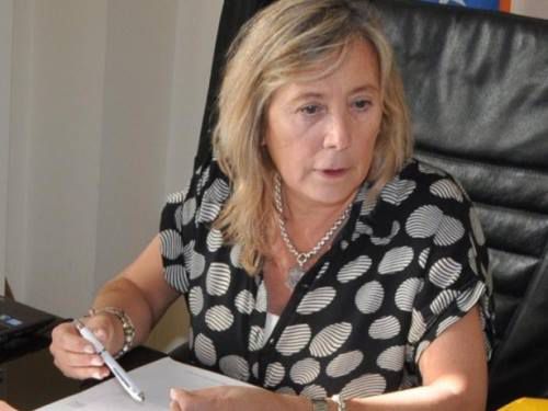 “Entre miércoles y jueves llegarían dos vuelos”, aseguró Chaperón