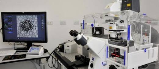 99 casos positivos en la jurisdicción provincial