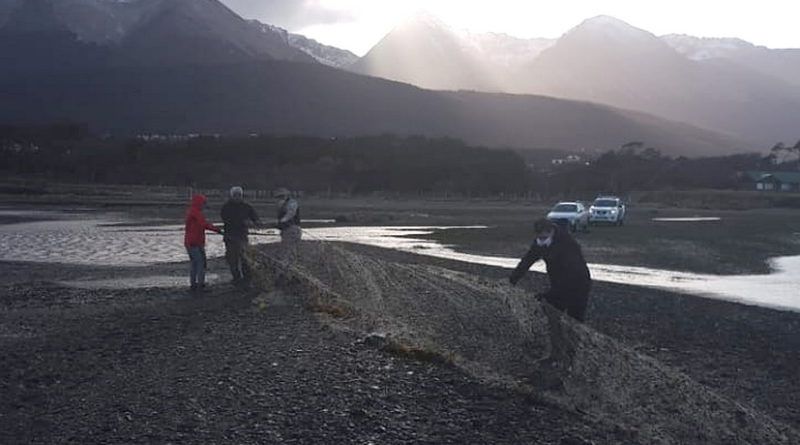 La Prefectura Ushuaia trabaja en la protección de los recursos ictícolas