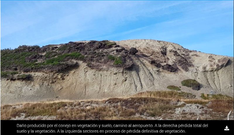 El CADIC aseguró que la fumigación será pasiva, sin riesgos para la salud ni el ambiente