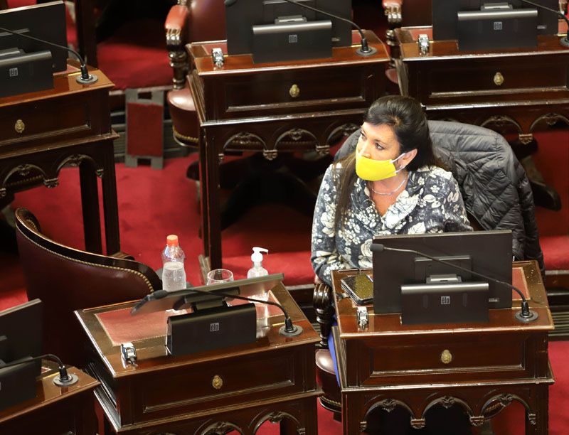 LA OPOSICIÓN BLOQUEÓ EN EL SENADO EL TRATAMIENTO DE LA LEY DE ALQUILERES, MOLESTA POR EL AVANCE DEL OFICIALISMO CON LOS DNU