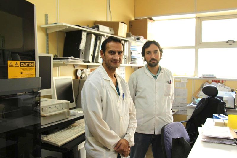 El Laboratorio de Salud Pública dará inicio al análisis genético del virus