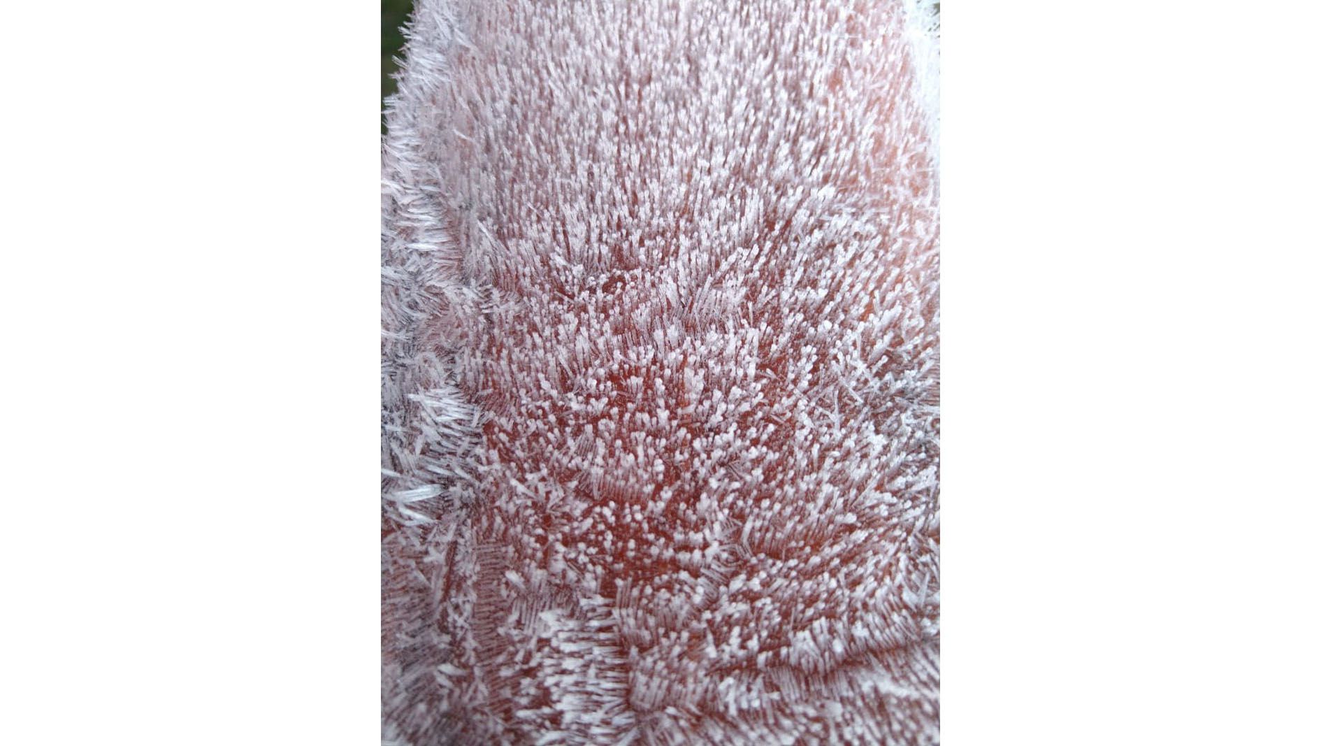 ¿Descubrí qué es? 