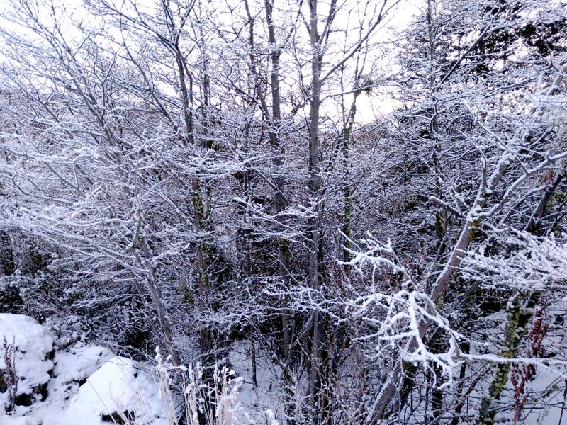 Una típica postal invernal 