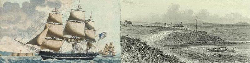 Revelan las depredaciones hechas por barcos norteamericanos 