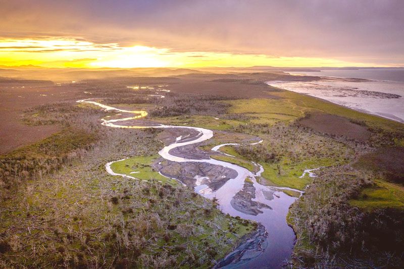 Península Mitre uno de los ecosistemas más importantes del mundo