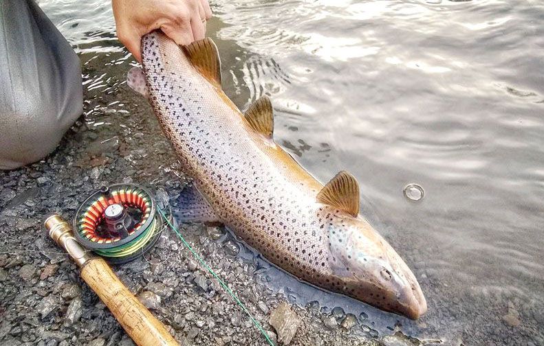 El viernes arranca la Temporada de Pesca Deportiva 2020/2021