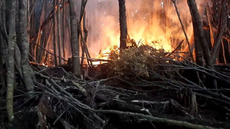 Continúan los incendios en viviendas