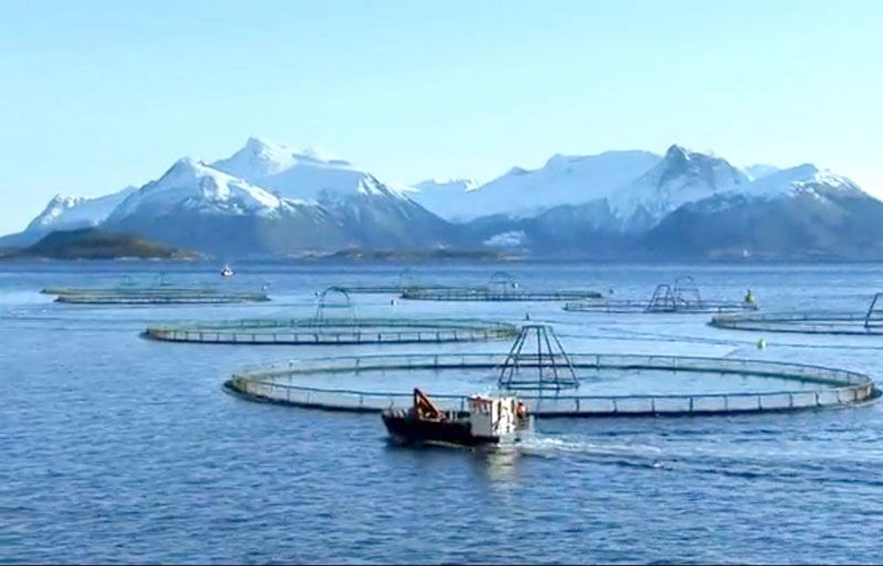 Norge beholder laksen din (Noruega, quédate con tus salmones) 