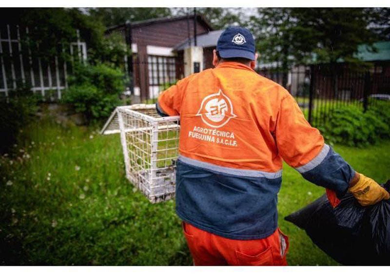 Recolección de residuos: Cronograma y horarios en Año Nuevo