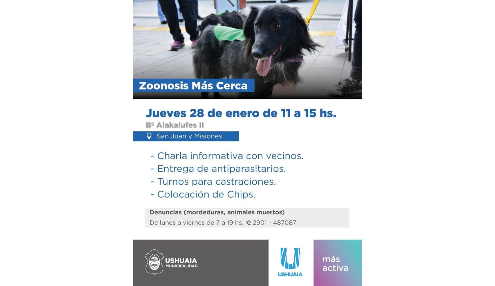 “Zoonosis más Cerca” llega a Los Alakalufes II