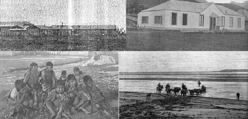 Llega expedición sueca que hará un largo recorrido por la isla