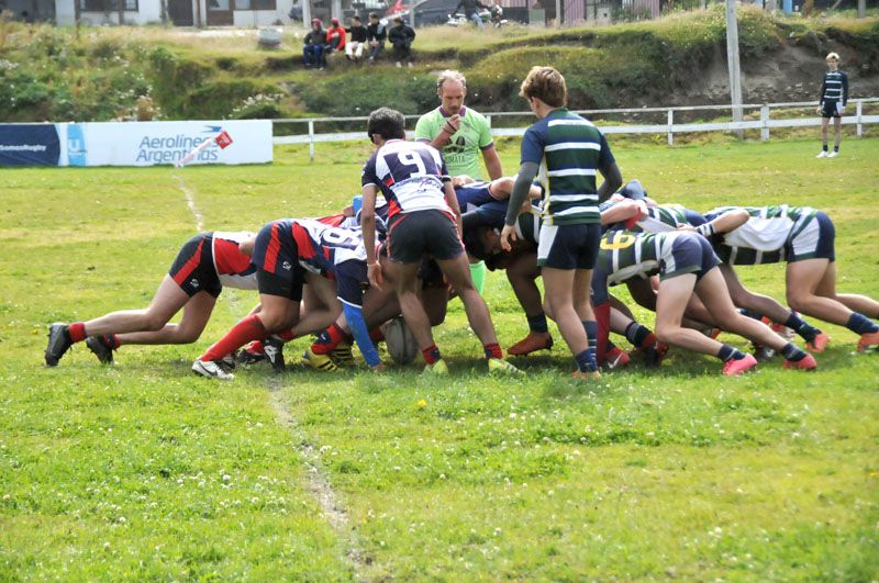 Regresando a las canchas