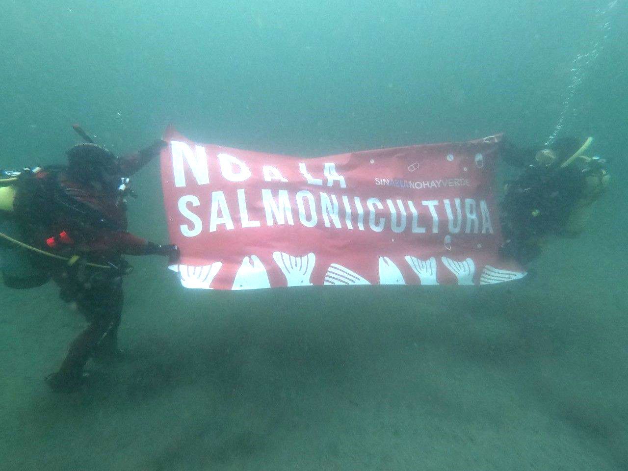 “Contracorriente”: El documental fueguino sobre la salmonicultura llega a Escocia 