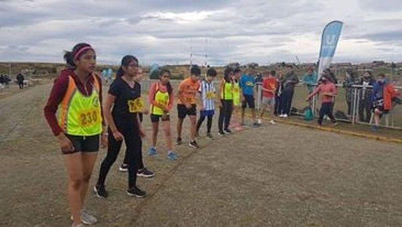 Marcada actividad