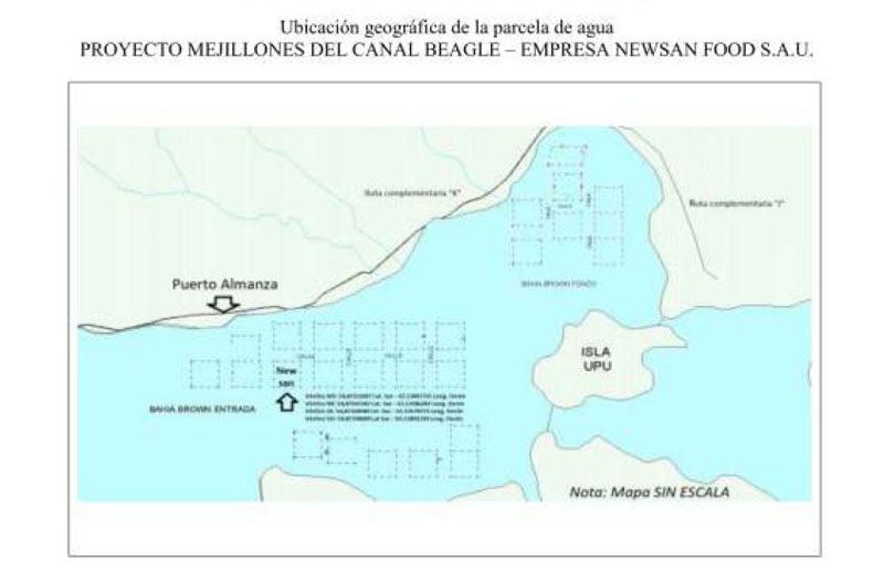Newsan se lanza al cultivo de mejillones